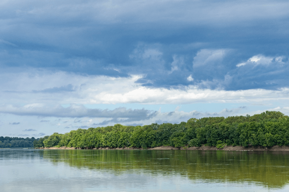 A treeline reflected in the Mississippi River.